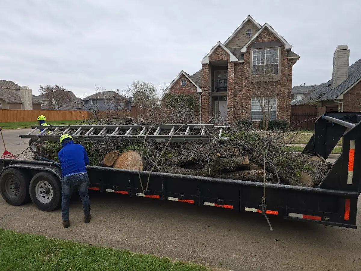 Expert Tree Removal with proper safety equipment in Farmington